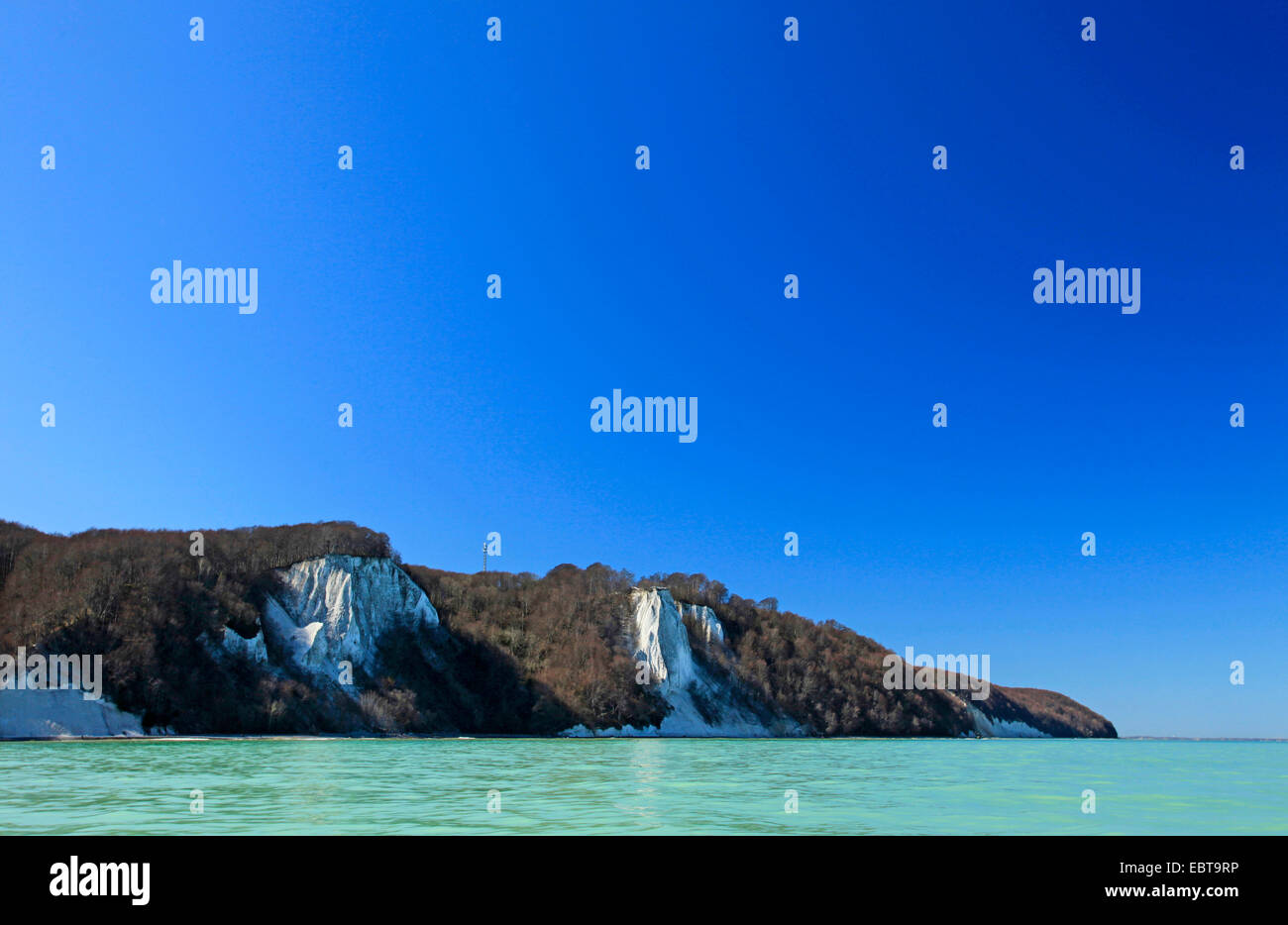 Vista dal mare presso la ripida costa con Koenigsstuhl Stubbenkammer e sotto un cielo blu chiaro in primavera, Germania, Meclemburgo-Pomerania, Jasmund National Park, Ruegen Foto Stock