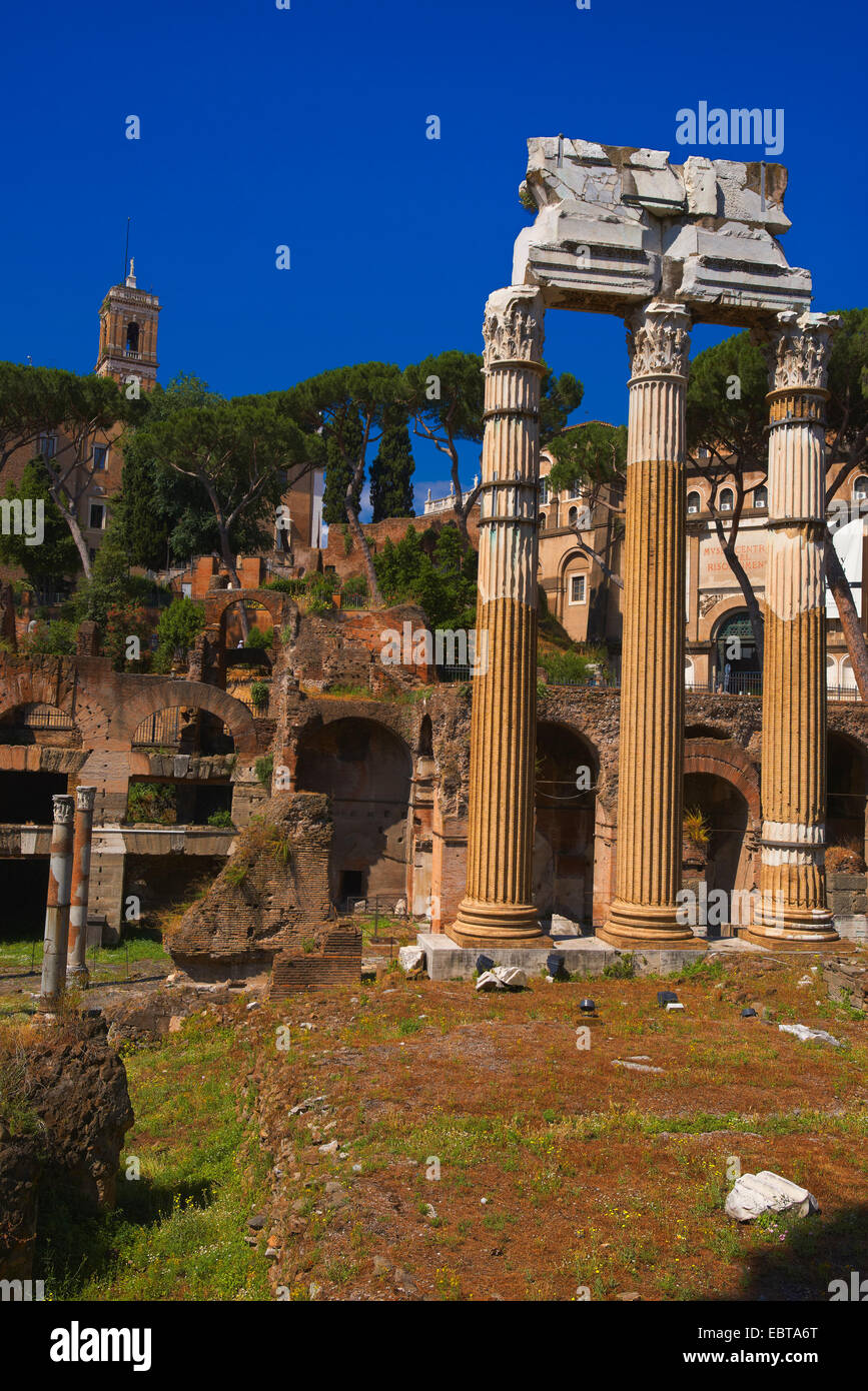 Foro di Cesare, il Tempio di Venere Genitrice, Foro Romano, Roma, Lazio, l'Italia, Europa Foto Stock