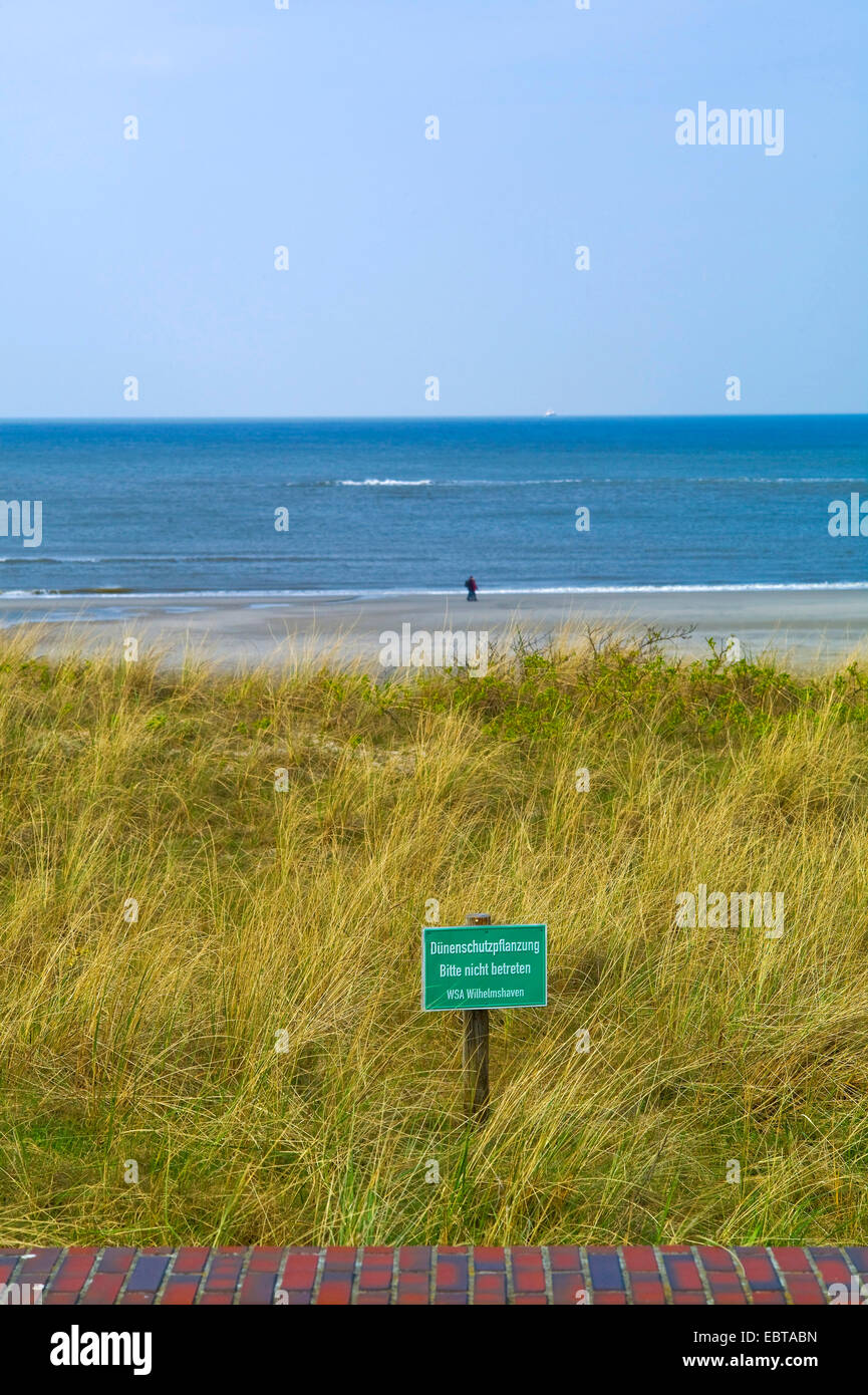 Protezione delle coste sulle dune in spiaggia, Germania, Bassa Sassonia Foto Stock