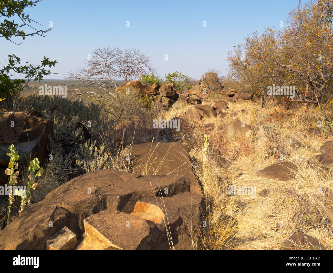 Savana a Tshanga Lookout, Sud Africa, Krueger National Park, Letaba Camp Foto Stock
