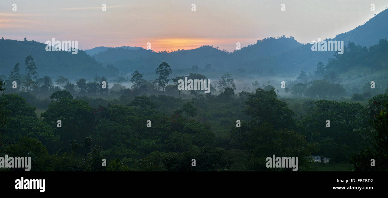 Mattinata nebbiosa nel paesaggio naturale, Uganda Foto Stock