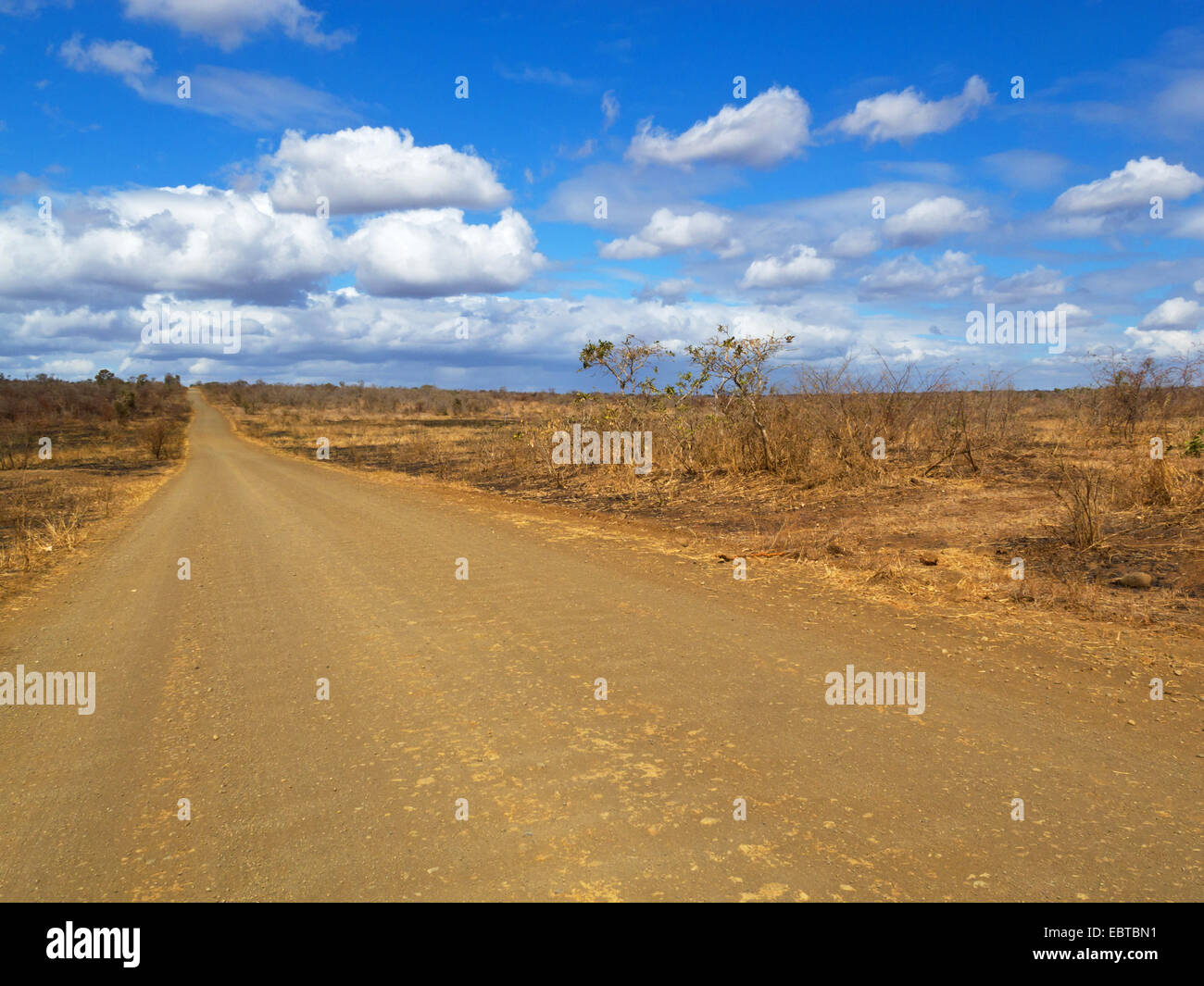 Strada di ghiaia nella savana, Sud Africa, Hluhluwe-Umfolozi National Park, Mpila Camp Foto Stock