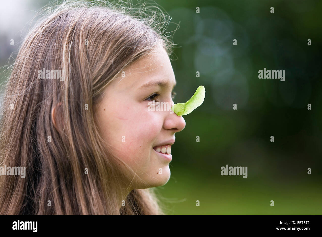 Norvegia (acero Acer platanoides), ragazza con seme di acero sul naso, Deutschland Foto Stock