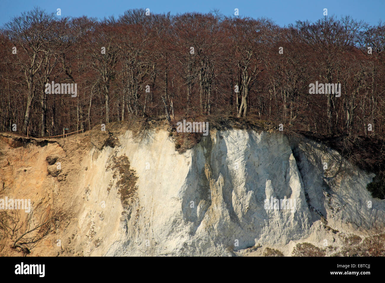 Vista dal mare presso la ripida costa con le famose scogliere di gesso, Germania, Meclemburgo-Pomerania, Jasmund National Park, Ruegen Foto Stock