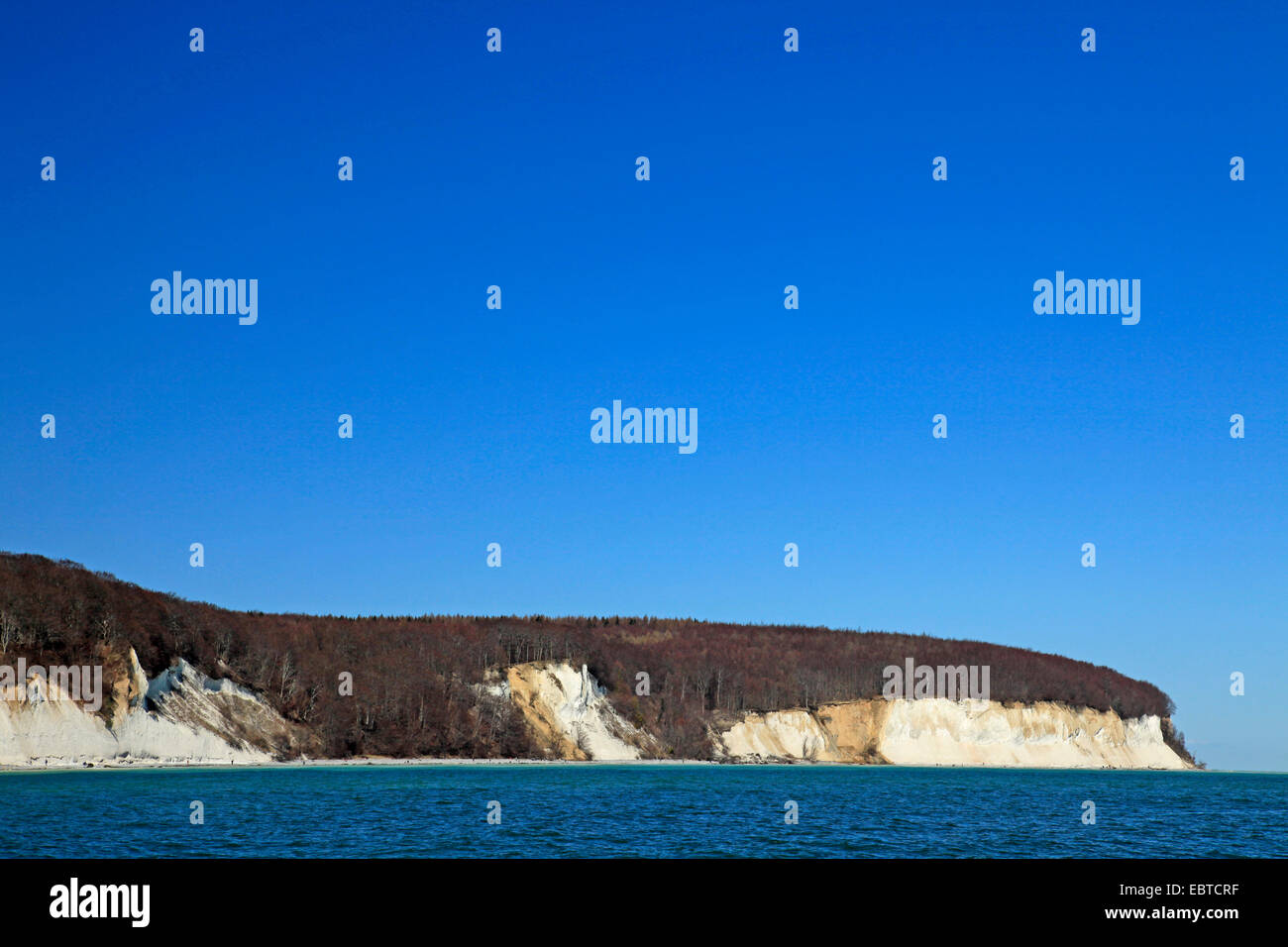 Vista dal mare presso la ripida costa con le famose scogliere di gesso sotto un cielo blu chiaro in primavera, Germania, Meclemburgo-Pomerania, Nationalpark Jasmund, Ruegen Foto Stock