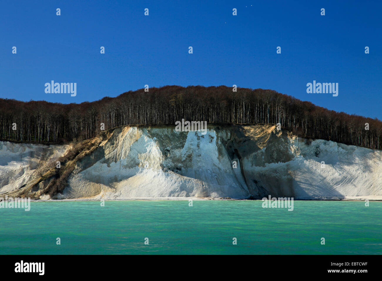 Vista dal mare presso la ripida costa con le famose scogliere di gesso sotto un cielo blu chiaro in primavera, Germania, Meclemburgo-Pomerania, Jasmund National Park, Ruegen Foto Stock