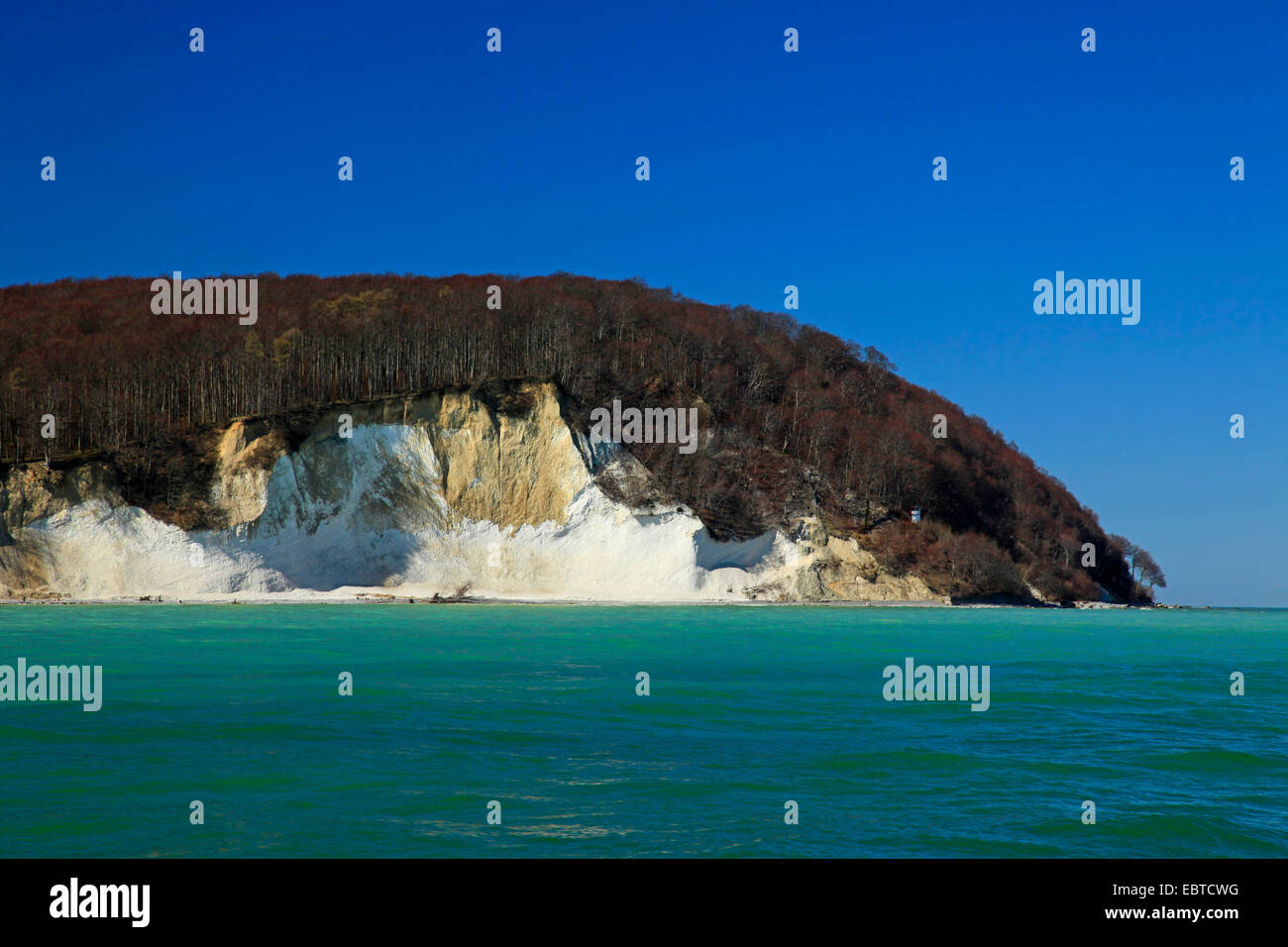Vista dal mare presso la ripida costa con le famose scogliere di gesso sotto un cielo blu chiaro in primavera, Germania, Meclemburgo-Pomerania, Jasmund National Park, Ruegen Foto Stock