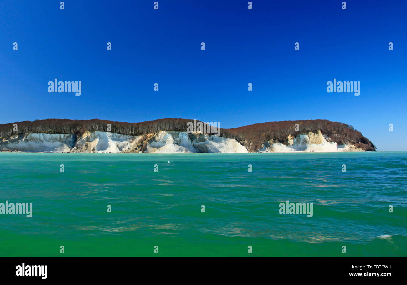 Vista dal mare presso la ripida costa con le famose scogliere di gesso sotto un cielo blu chiaro in primavera, Germania, Meclemburgo-Pomerania, Jasmund National Park, Ruegen Foto Stock