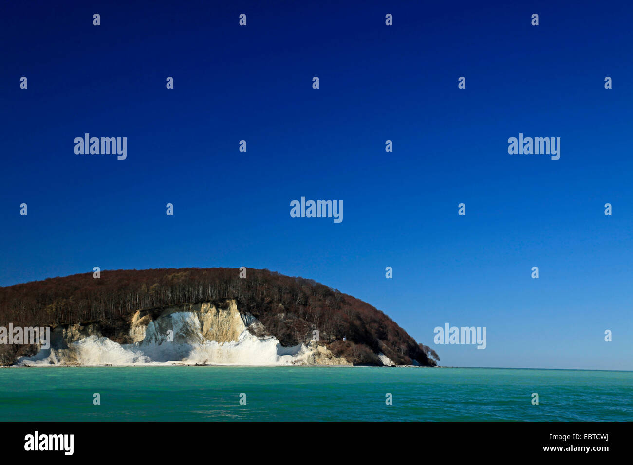 Vista dal mare presso la ripida costa con le famose scogliere di gesso sotto un cielo blu chiaro in primavera, Germania, Meclemburgo-Pomerania, Jasmund National Park, Ruegen Foto Stock
