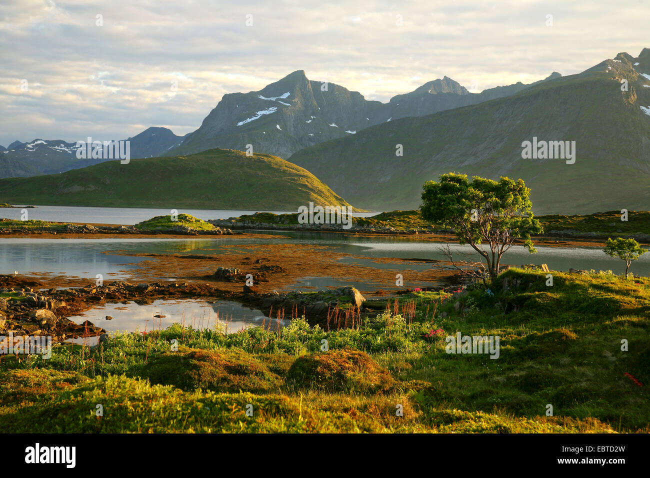 Paesaggio naturale, Norvegia, Isole Lofoten, Fredvang Foto Stock