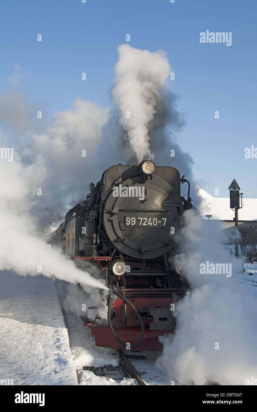 Treno del Harzquerbahn in pieno vapore; la stretta-manometro railwayconnects città Nordhausen (Turingia) e Wernigerode (Sassonia-Anhalt), Germania, Sassonia-Anhalt, Harz, Wernigerode Foto Stock