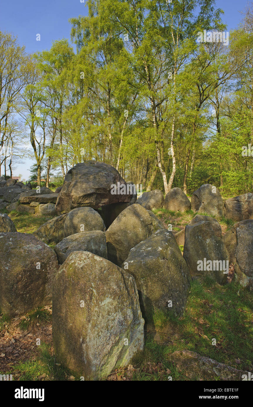 Tomba megalitica 'Glaner Braut' dal Neolitico, Germania, Bassa Sassonia, Wildeshausener Geest, Doetlingen Foto Stock