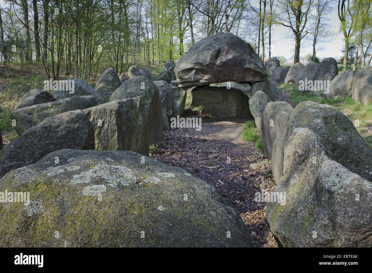 Tomba megalitica 'Glaner Braut' dal Neolitico, Germania, Bassa Sassonia, Wildeshausener Geest, Doetlingen Foto Stock