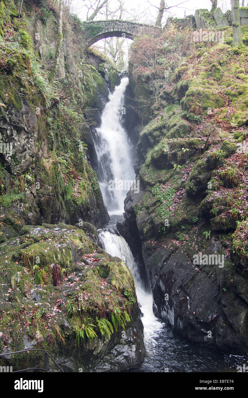 Aira Force cascata, Ullswater, Lake District, Cumbria, England, Regno Unito Foto Stock