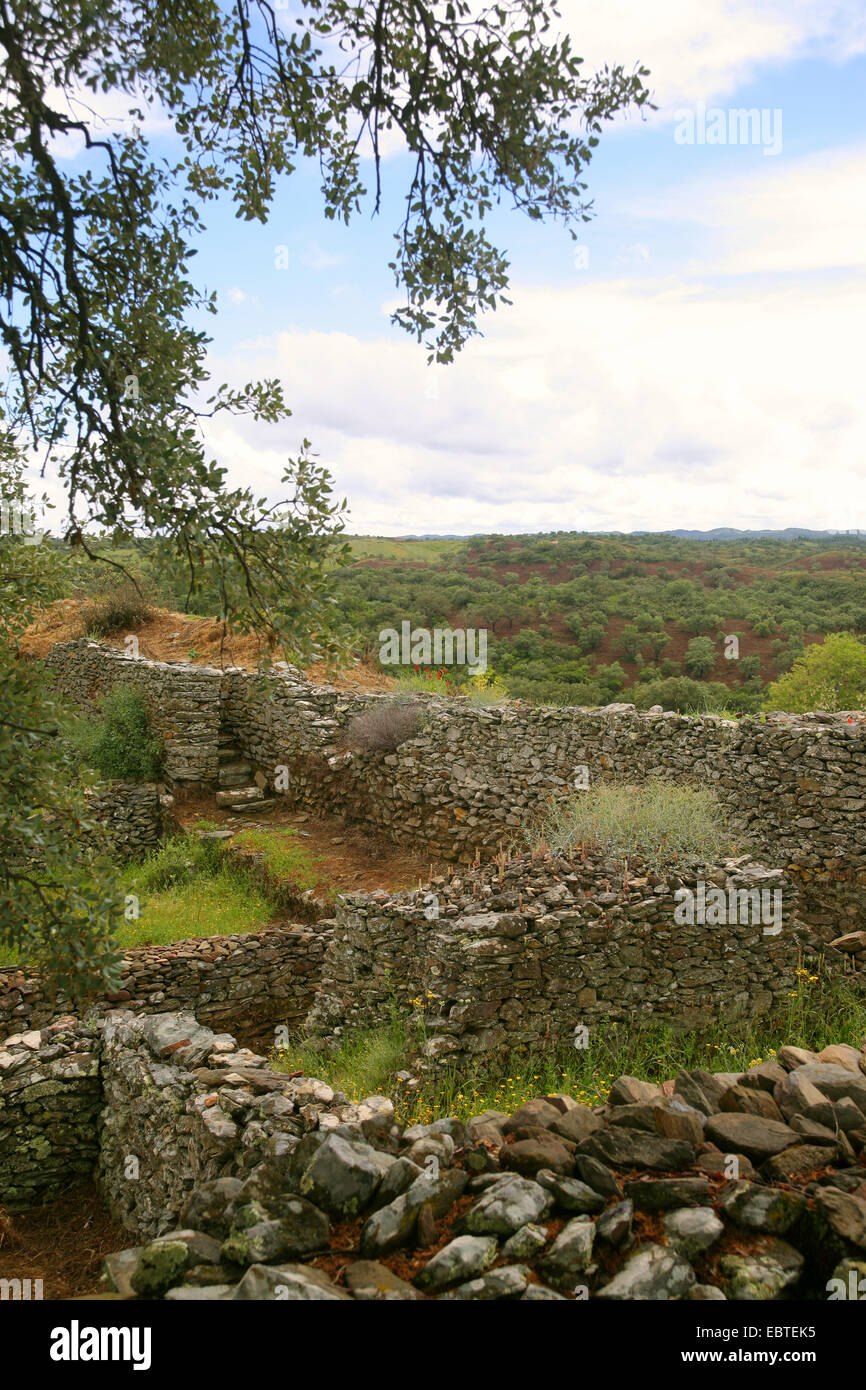 Quercia da sughero (Quercus suber), filiale e muri in pietra a secco, Portogallo, Alentejos Foto Stock