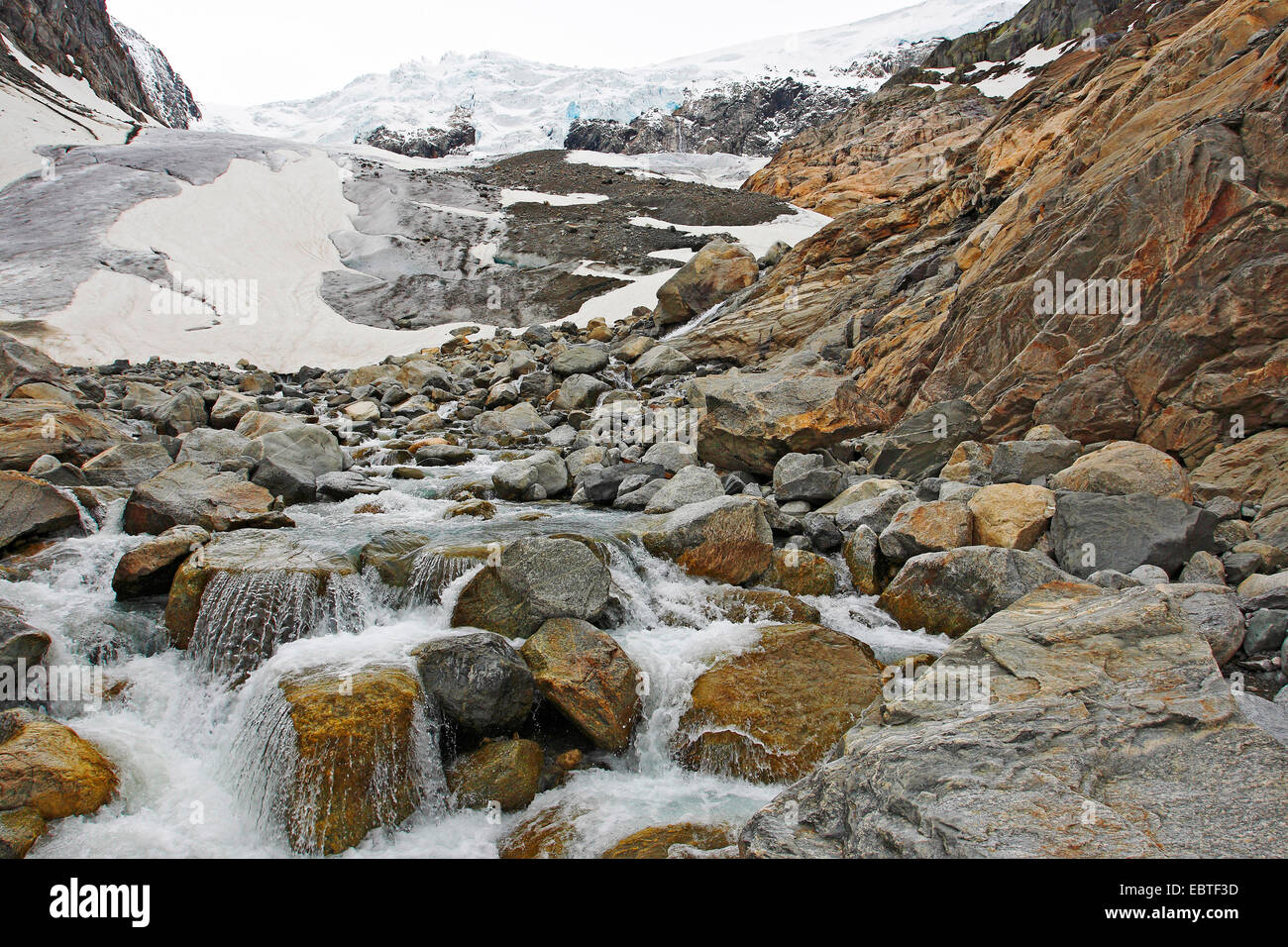Glacier Buarbreen, Norvegia, Folgefonna Parco Nazionale Foto Stock