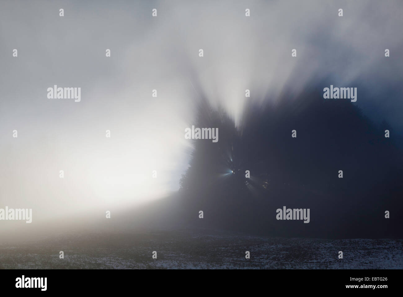 In Mostelberg misty umore, Svizzera, Kanton Schwyz Foto Stock