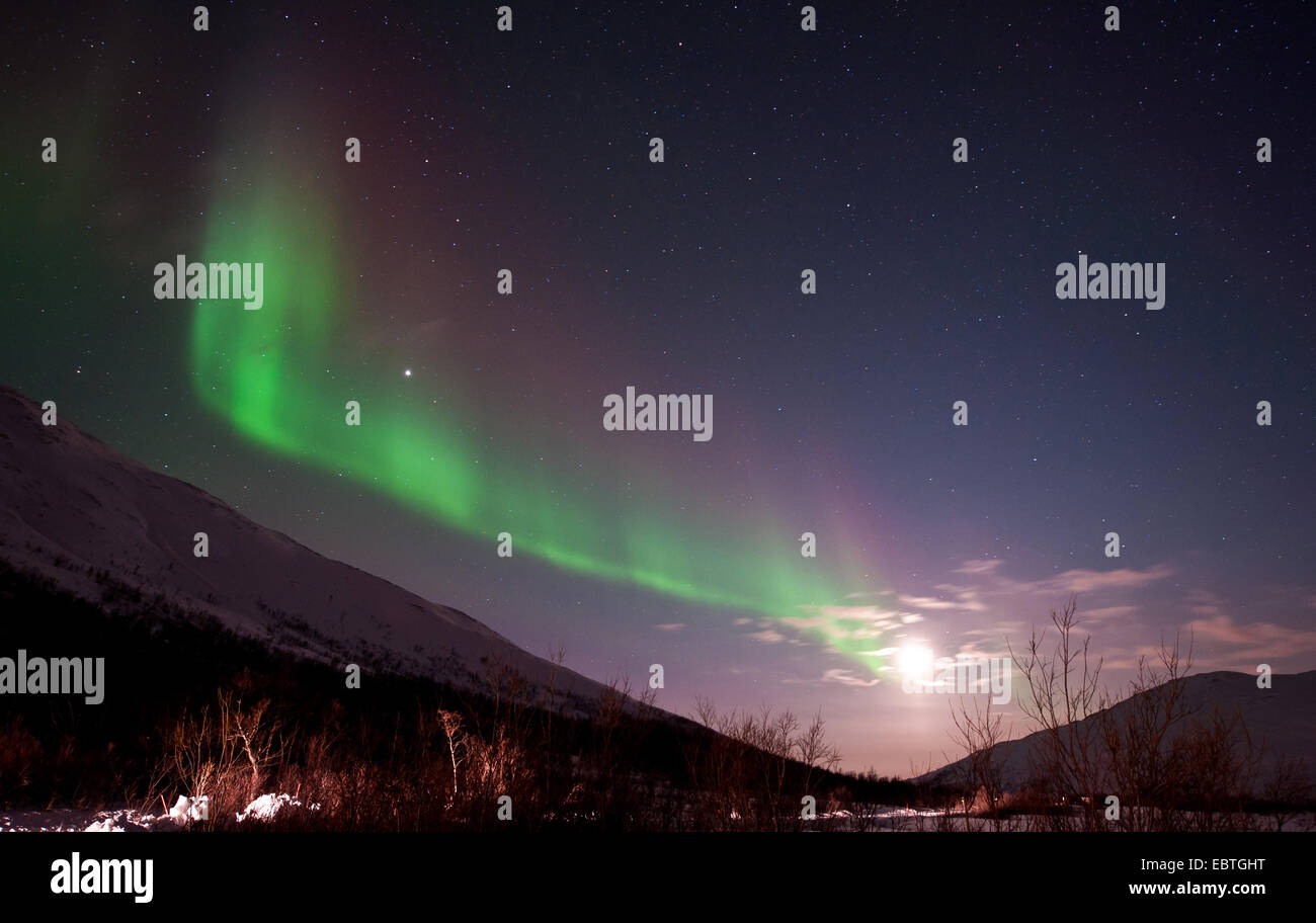 Aurora e luna, Norvegia, Troms, Kvaloeya Foto Stock