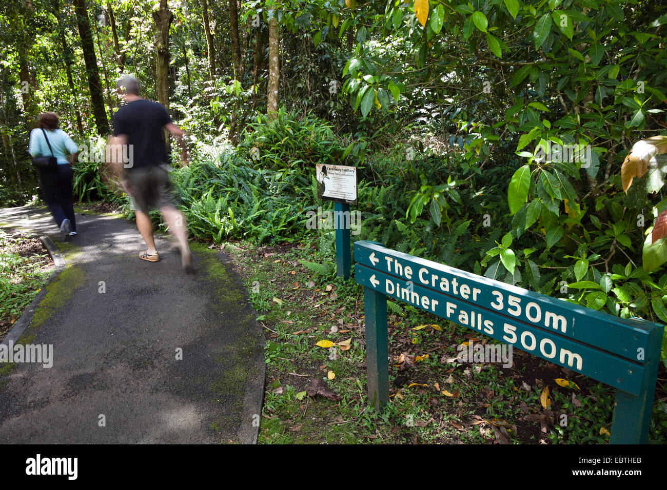 Tourist sul percorso per la cena cade, Australia, Queensland, altopiano di Atherton Foto Stock