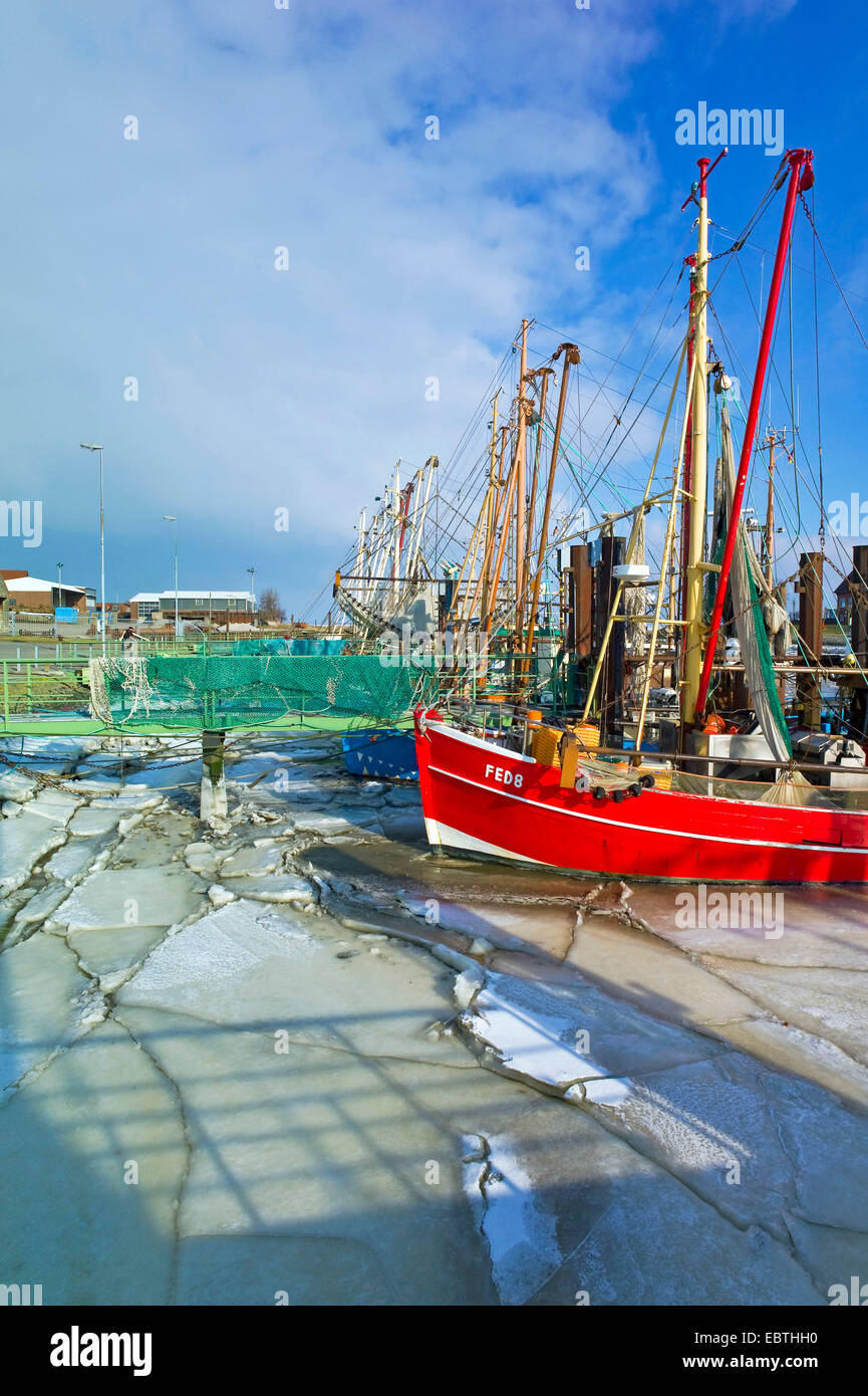 Icy harbour con gamberetti, Germania, Bassa Sassonia, Fedderwardersiel Foto Stock