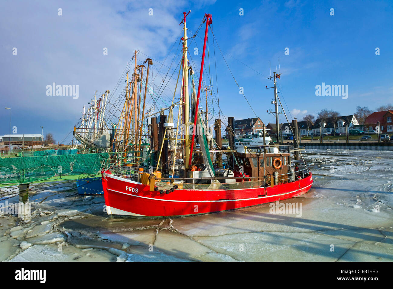 Icy harbour con gamberetti, Germania, Bassa Sassonia, Fedderwardersiel Foto Stock