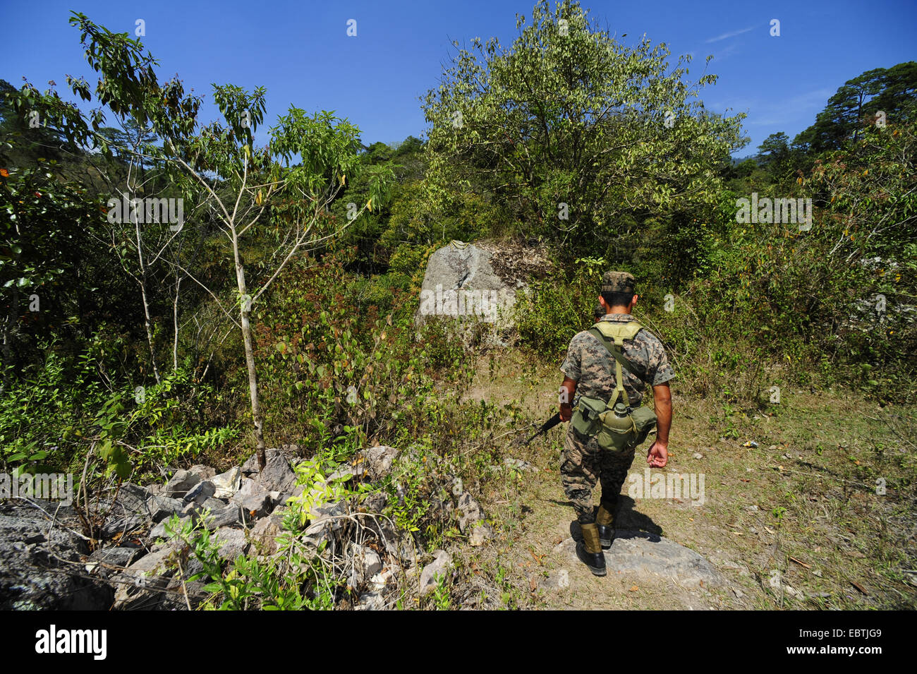 Giovane soldato oind attraverso la wildernes, Honduras, Copan Foto Stock