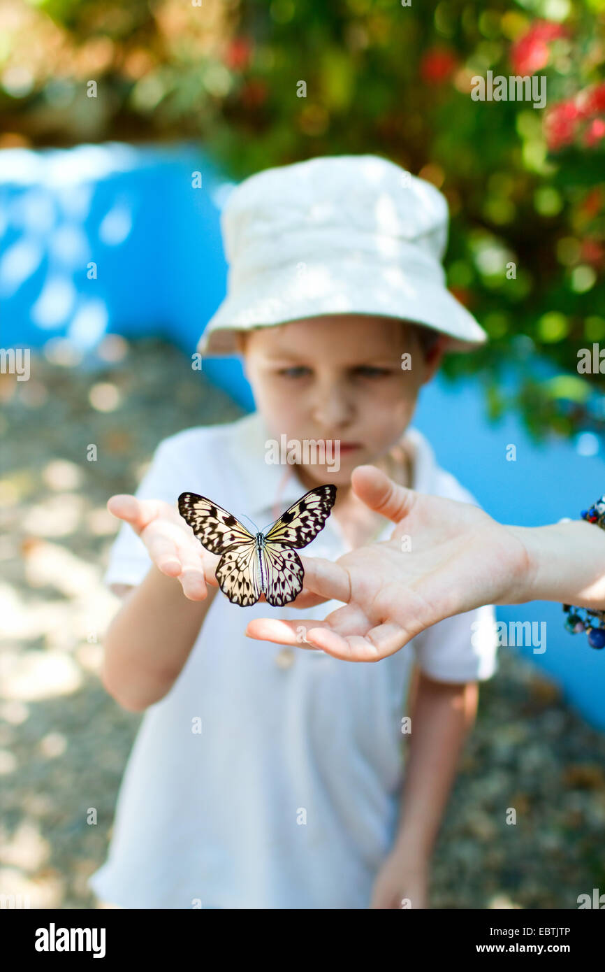 Little Boy tenendo una farfalla sulla sua mano Foto Stock