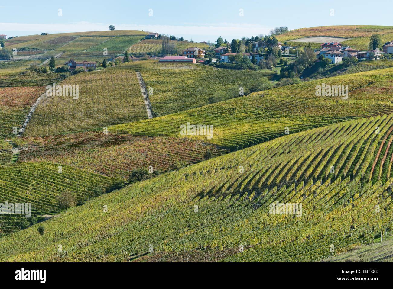 L'Italia, panorama di vigneti del Piemonte: Langhe-Roero e Monferrato nella Lista del Patrimonio Mondiale UNESCO Foto Stock