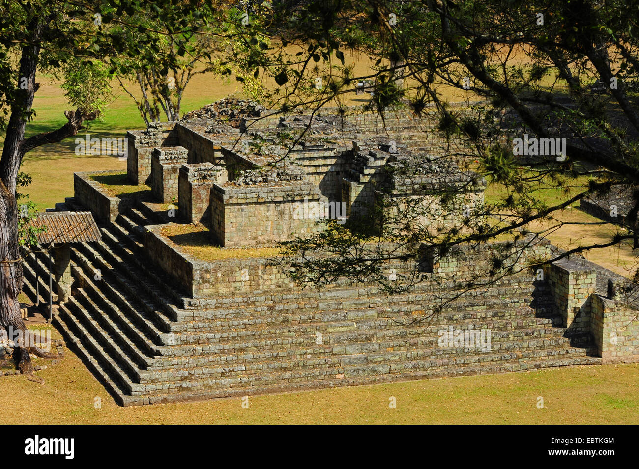Tempio Maya in Copan, Honduras, Copan Foto Stock