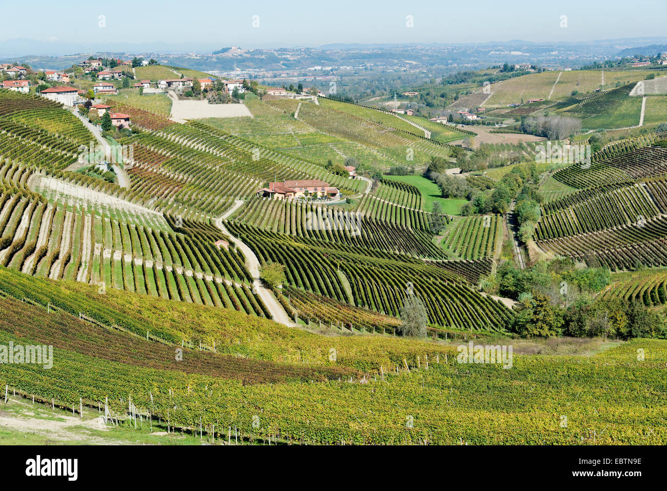 L'Italia, panorama di vigneti del Piemonte: Langhe-Roero e Monferrato nella Lista del Patrimonio Mondiale UNESCO Foto Stock