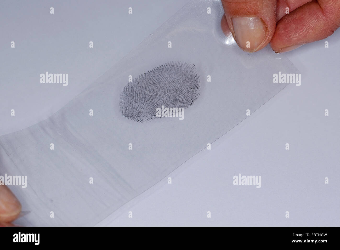 Impronta digitale fissato con grafite Foto Stock