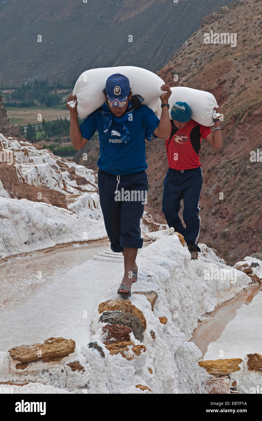 Lavoratori alaggio sacchetti di sale al sale stagni di Salinas De Maras, Perù Cusco Foto Stock