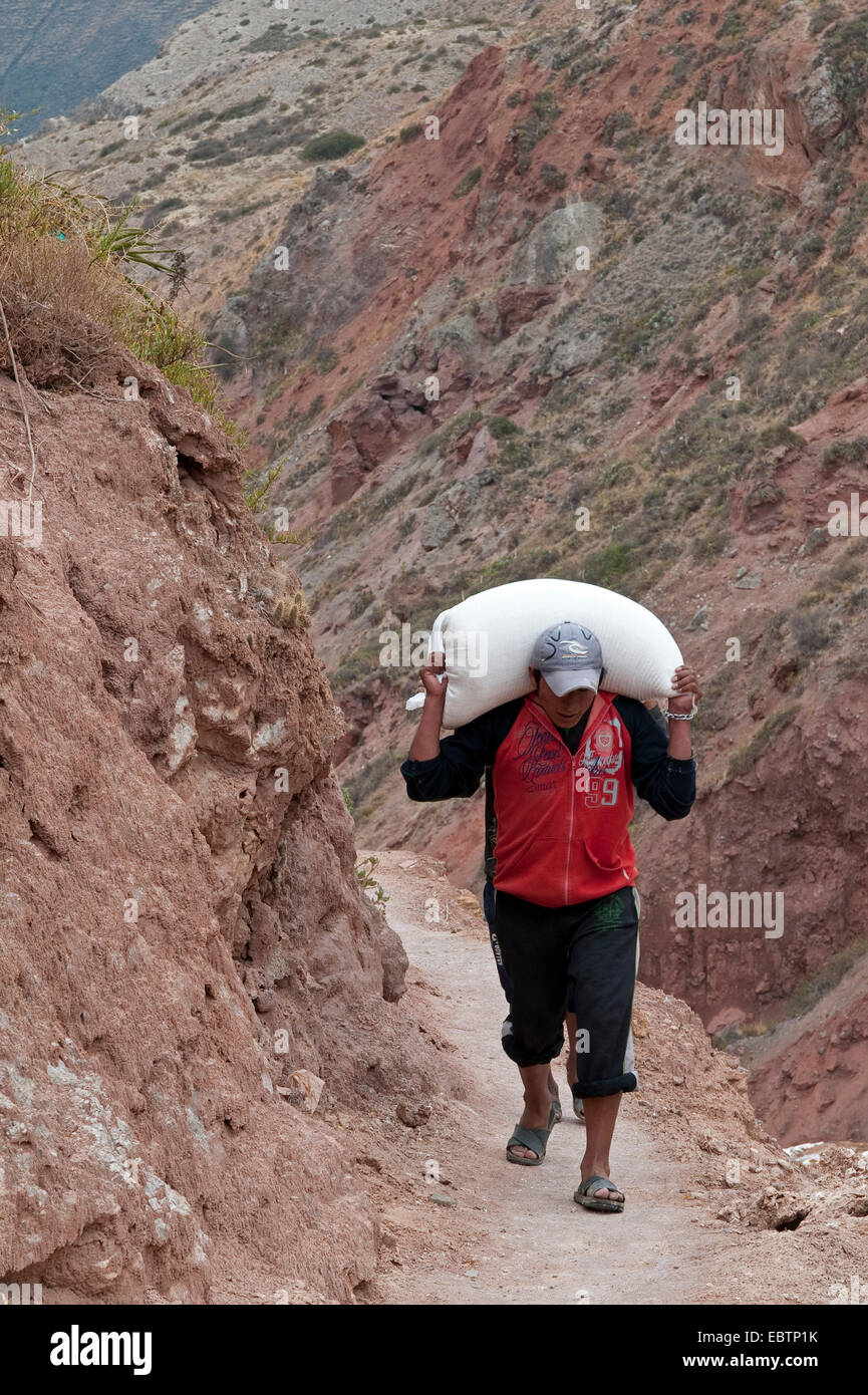 Lavoratore alaggio sacchi di sale a Salinas De Maras, Perù Cusco Foto Stock