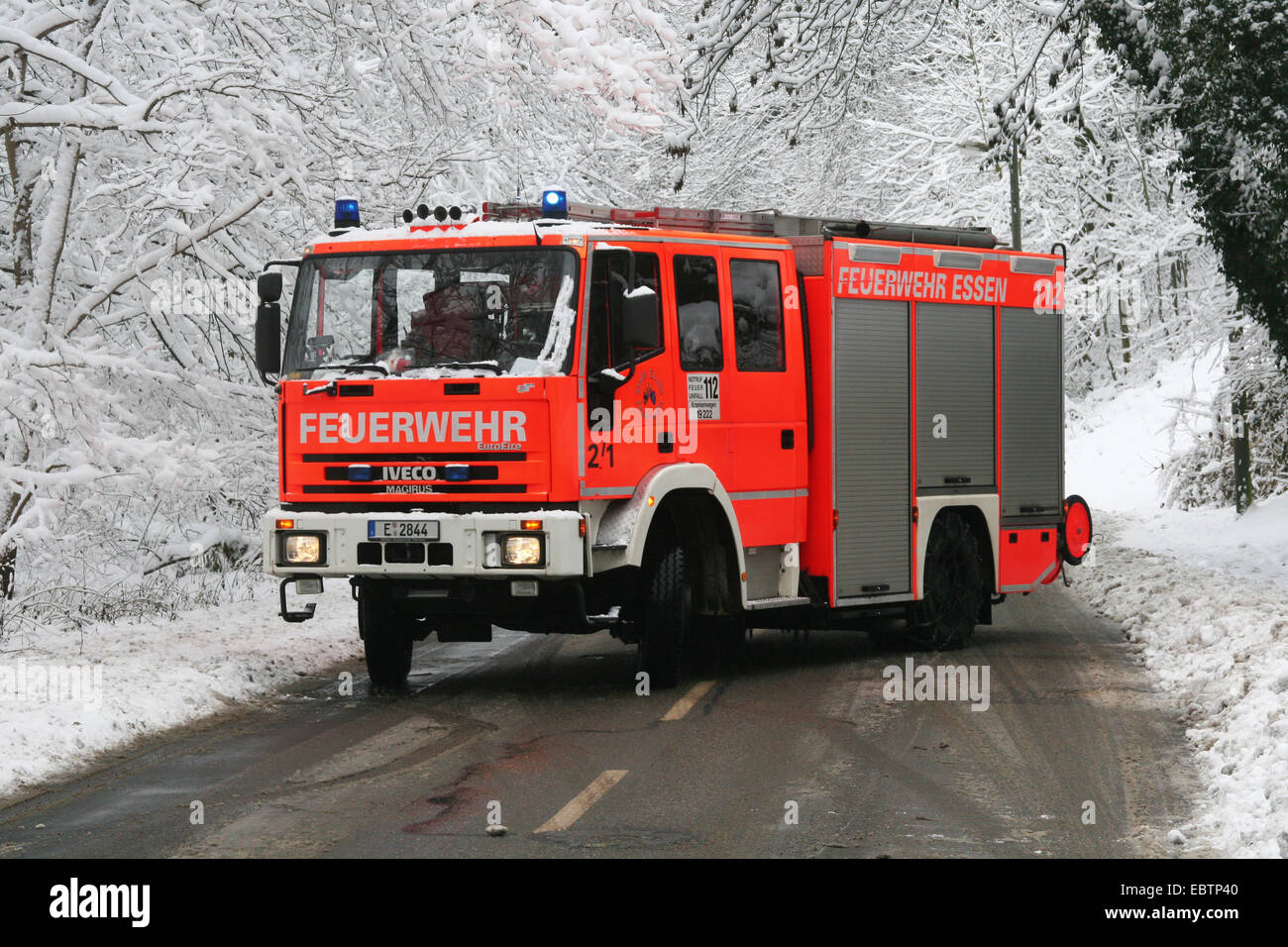 Per la lotta antincendio di funzionamento per evitare la rottura della neve di alberi, in Germania, in Renania settentrionale-Vestfalia Foto Stock