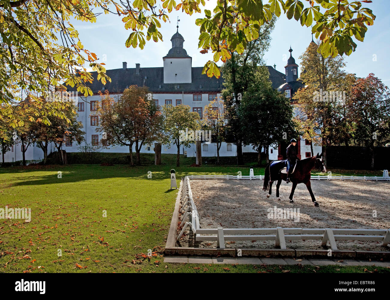 La donna in sella ad un cavallo nella parte anteriore del castello di Berleburg, in Germania, in Renania settentrionale-Vestfalia, Bad Berleburg Foto Stock