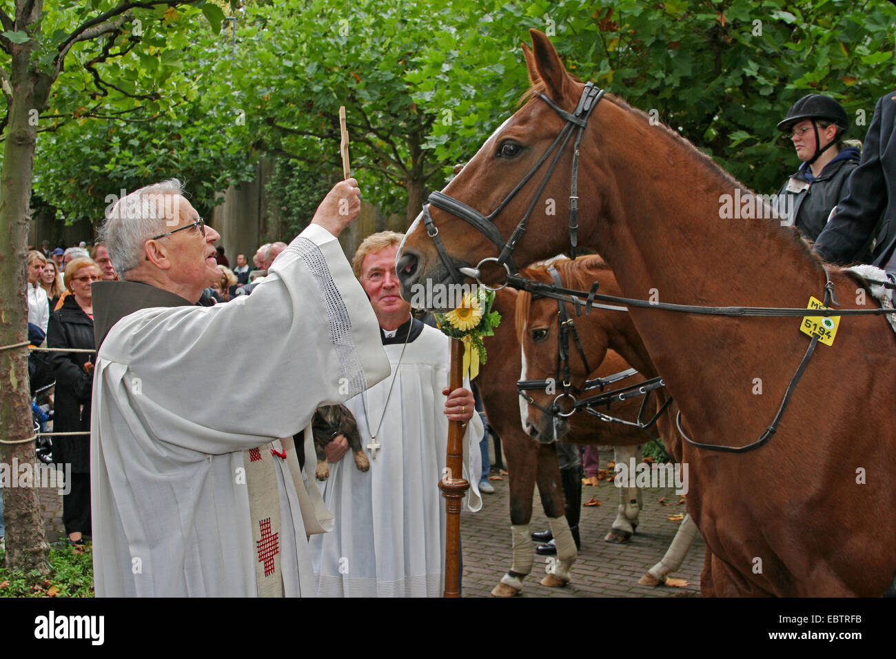 Sacerdote cattolico questioni la benedizione di cavalli da sella, in Germania, in Renania settentrionale-Vestfalia, Velbert Neviges Foto Stock