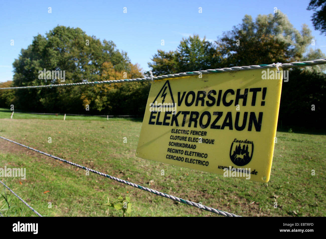 Segnale di avvertimento in corrispondenza di recinzioni elettriche di un pascolo, in Germania, in Renania settentrionale-Vestfalia, Duesseldorf Foto Stock