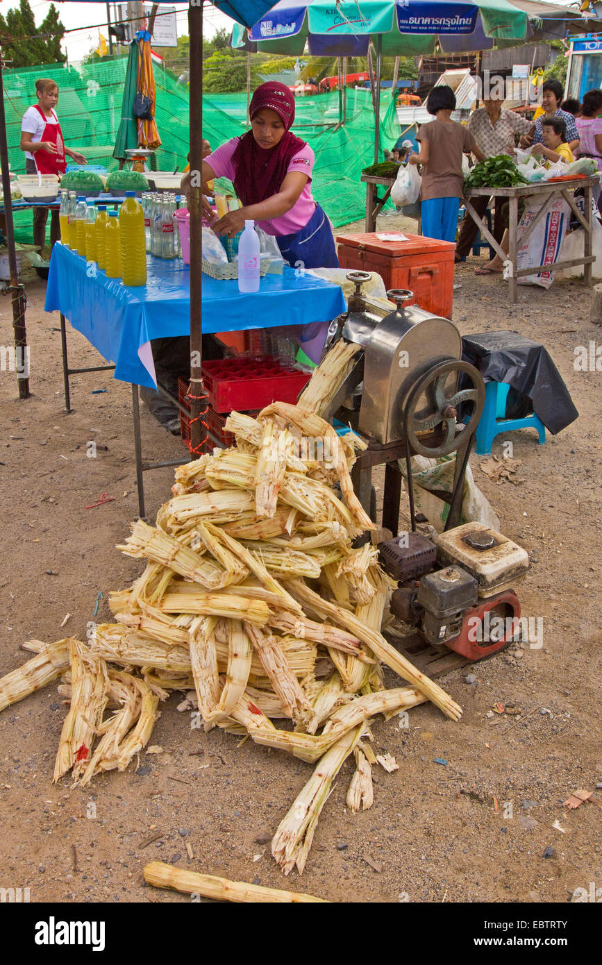 La canna da zucchero (Saccharum officinarum) spremitore, per canna da zucchero su un mercato, Thailandia Phuket Foto Stock