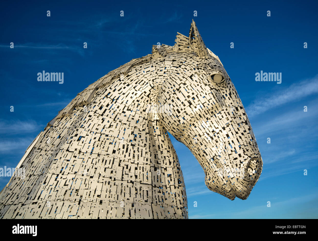 Ritratto di Kelpie Foto Stock