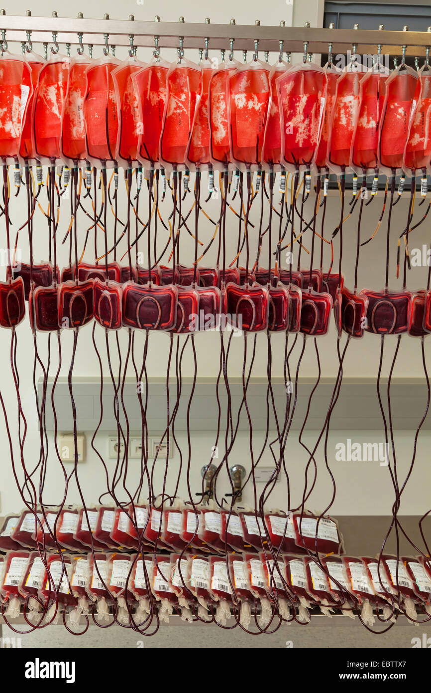 Dal sangue di donatori di sangue in sangue lab Foto Stock