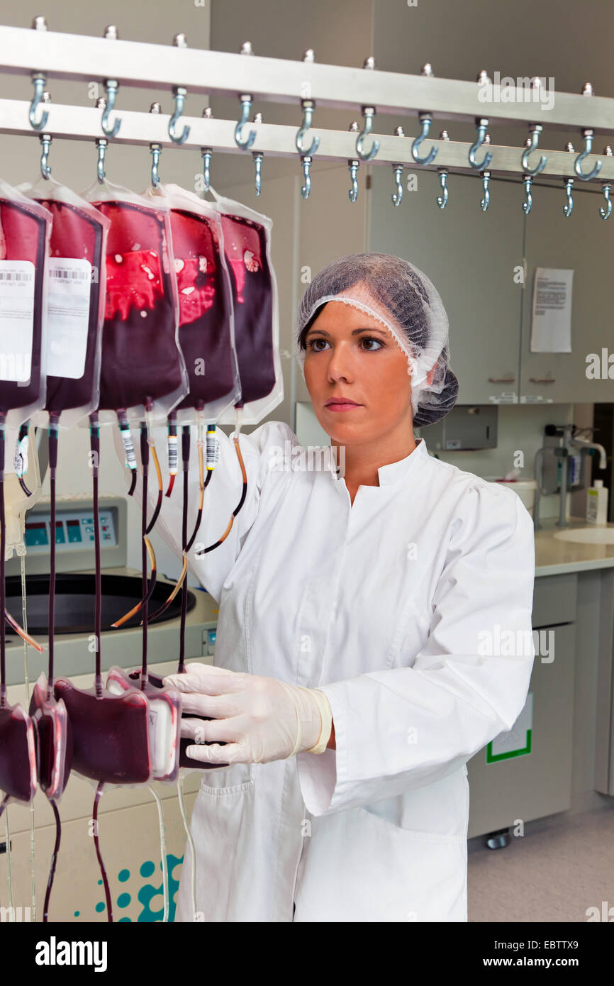 Donna examinating in laboratorio il sangue donato Foto Stock