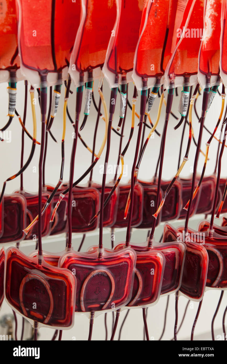 Dal sangue di donatori di sangue in sangue lab Foto Stock