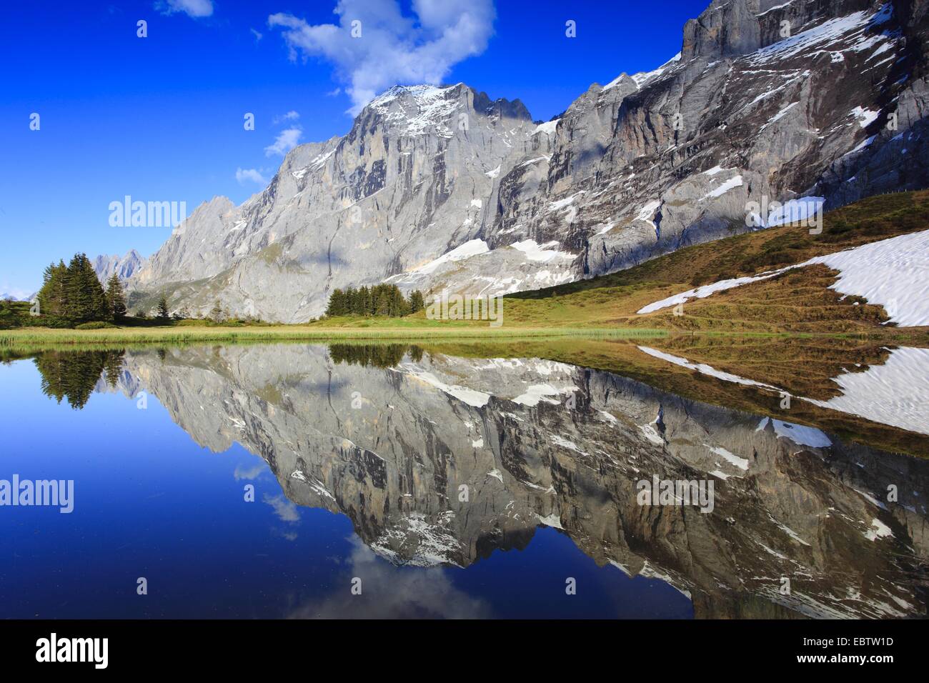 Vista dal valico alpino "Grosse Scheidegg' all'Engelhoerner, Svizzera, Berna, Oberland bernese Foto Stock