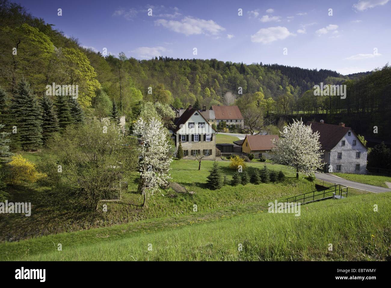 Villaggio in un ambiente collinare bosco e prato paesaggio, Germania, Sassonia, Burgk Foto Stock