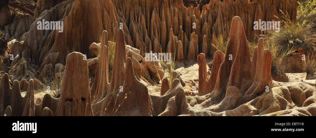 Il Carso rosso la formazione di calcare, Madagascar, Nationalpark Tsingy de Bemaraha, Tsingy Foto Stock