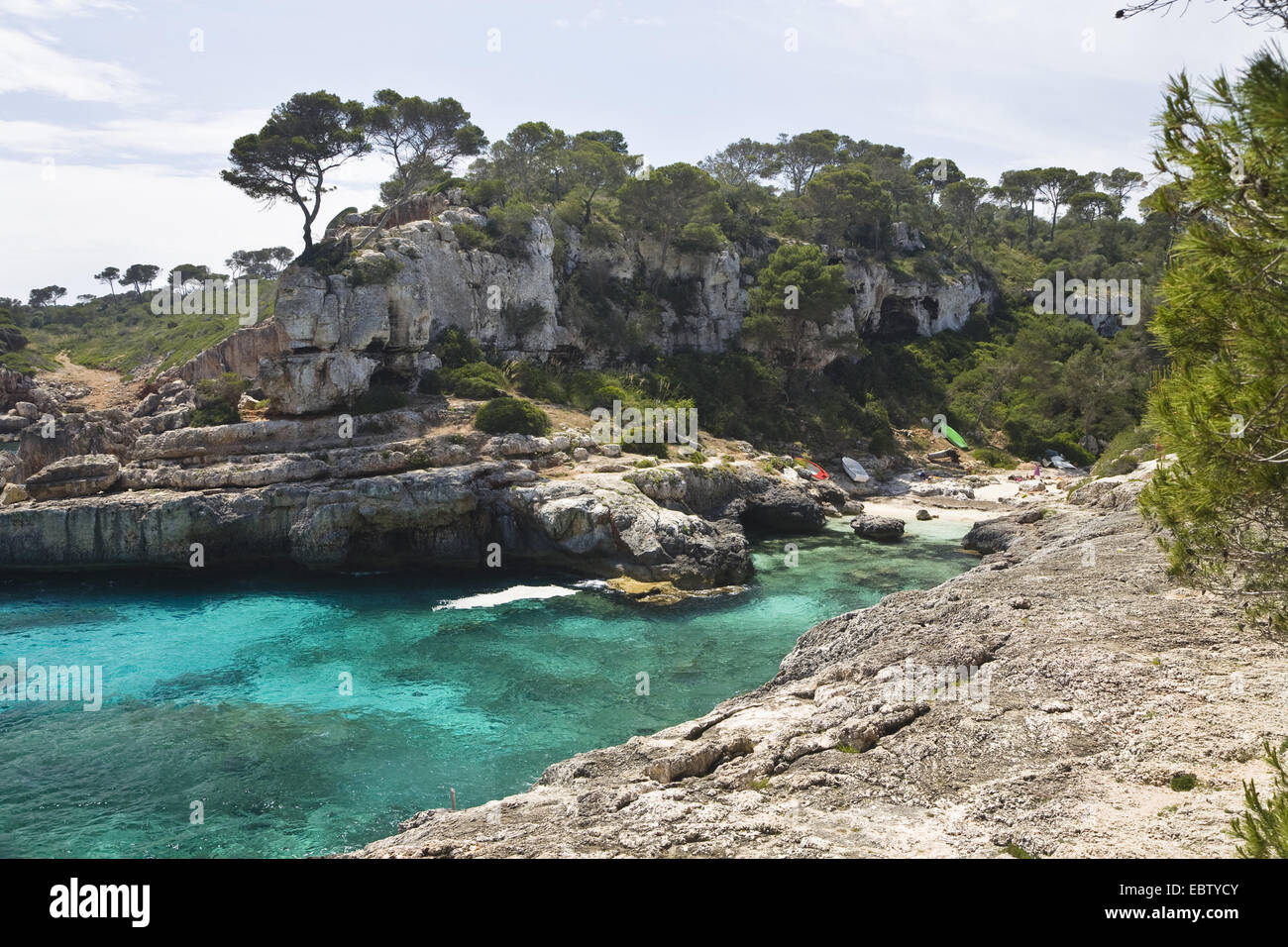 Spiaggia nella baia di Cala s'Almonia, Spagna, Balearen, Maiorca Foto Stock