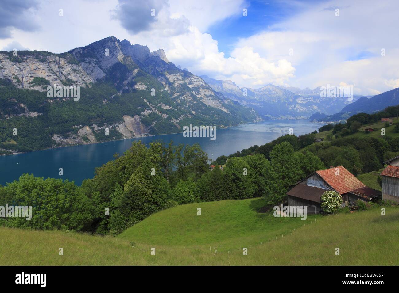 Vista sul Walensee dalle montagne circostanti, Svizzera, Glarona, Appenzeller Alpen Foto Stock