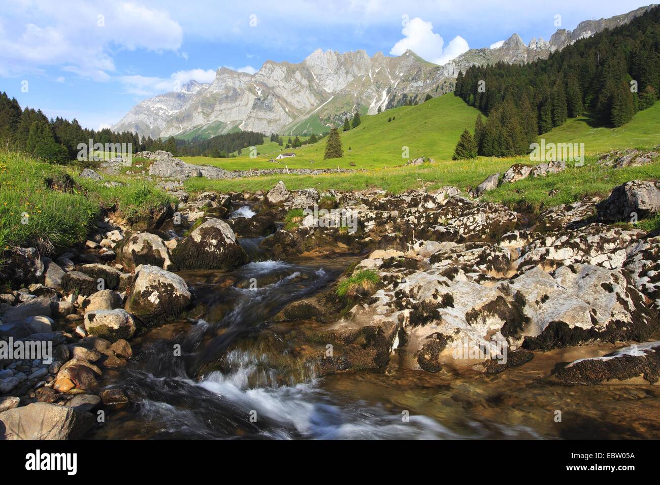 Vista da un prato di montagna con un ruscello presso l Alpstein massiccio con la più alta montagna Saentis (2502 m), Svizzera Foto Stock