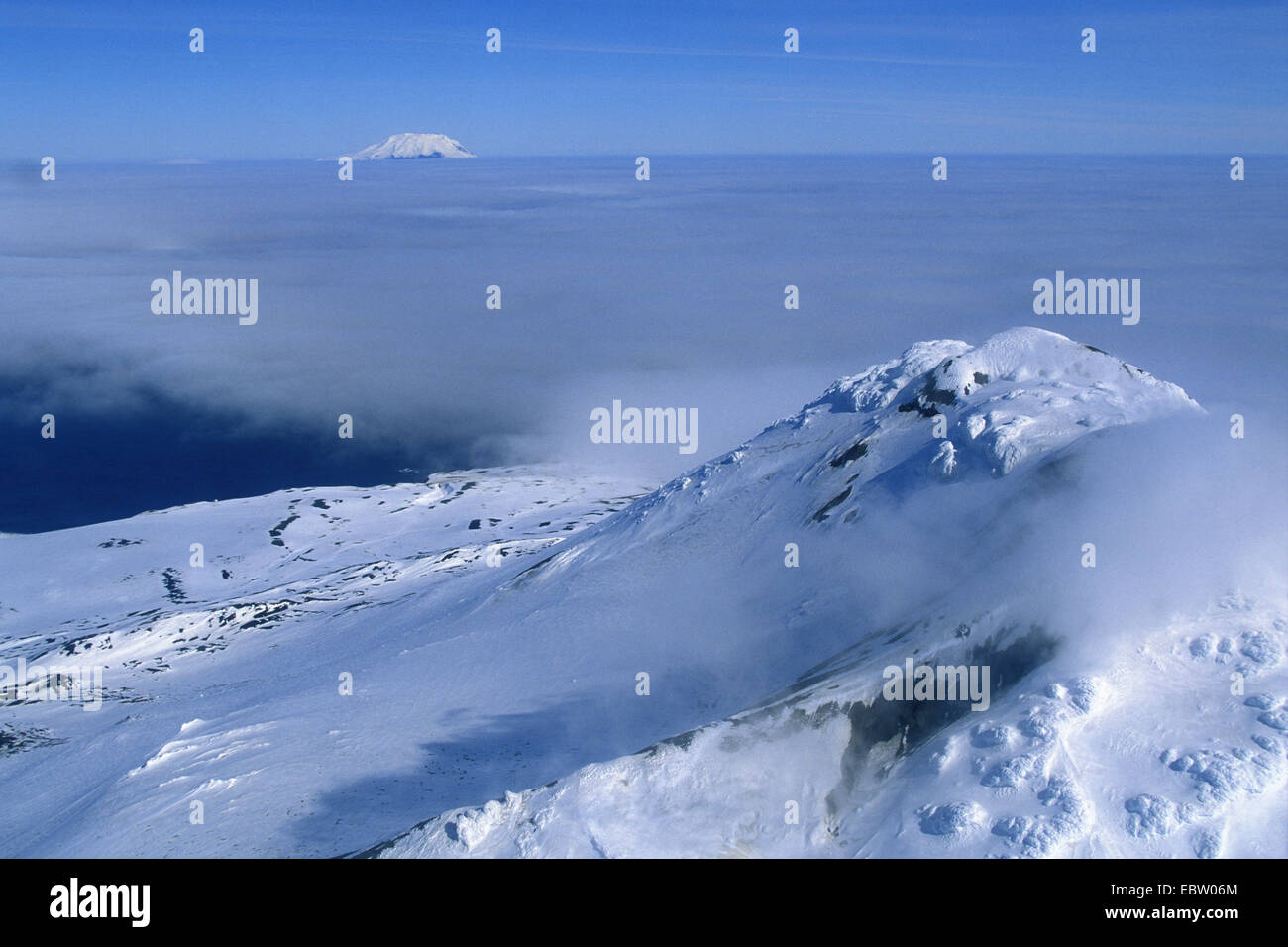 Isola di Zavodovski, Isole Sandwich del Sud, Suedgeorgien Foto Stock