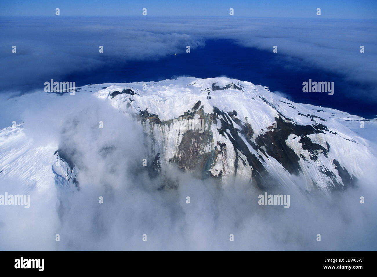 Isola di Zavodovski, Isole Sandwich del Sud, Suedgeorgien Foto Stock